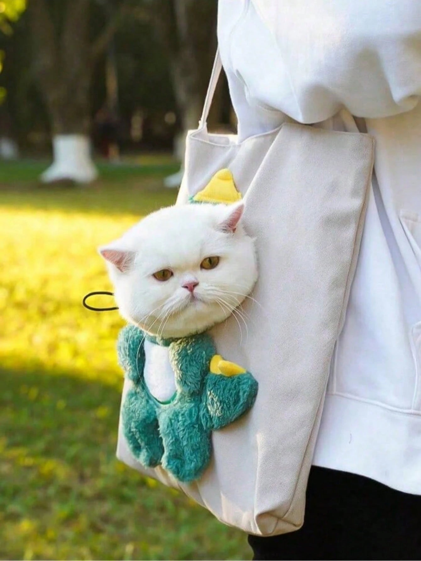 Pet Carrier Backpack – Breathable Large-Capacity Cat & Dog Bag