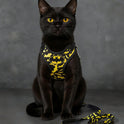 Batman Pet Harness & Leash Set for Cats & Small Dogs