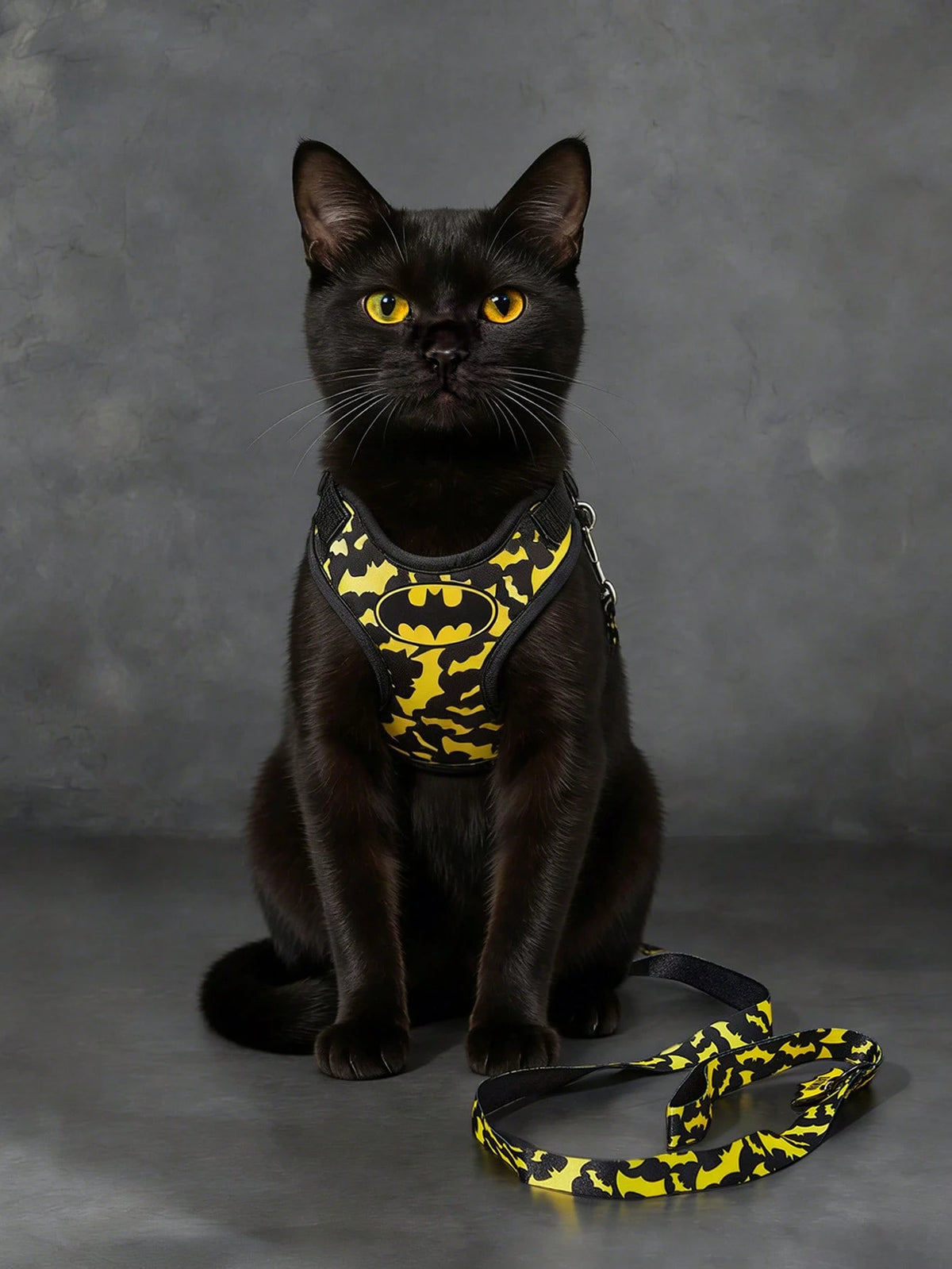 Batman Pet Harness & Leash Set for Cats & Small Dogs