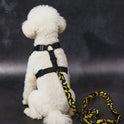 Batman Pet Harness & Leash Set for Cats & Small Dogs