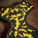 Batman Pet Harness & Leash Set for Cats & Small Dogs