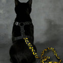 Batman Pet Harness & Leash Set for Cats & Small Dogs