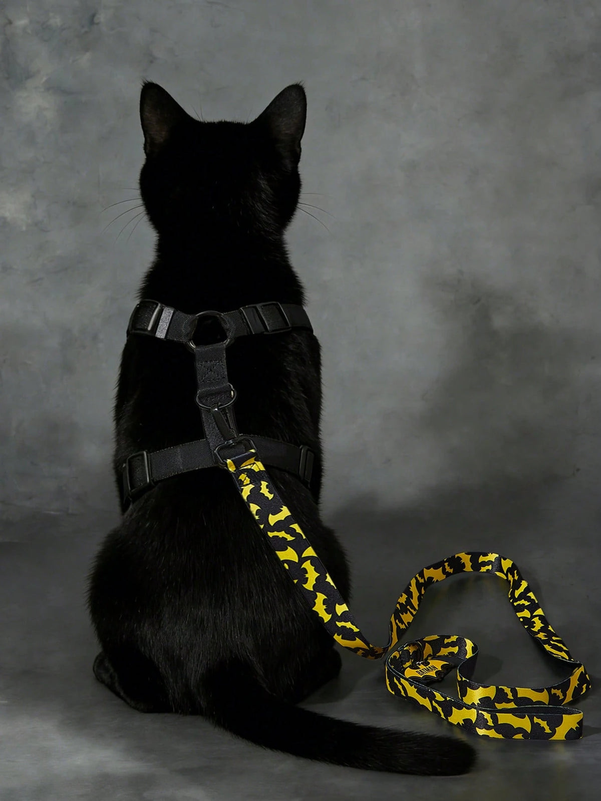 Batman Pet Harness & Leash Set for Cats & Small Dogs
