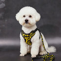 Batman Pet Harness & Leash Set for Cats & Small Dogs