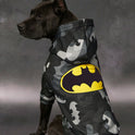 Batman Pet Hoodie for Cats & Small Dogs | Soft Hooded Sweatshirt