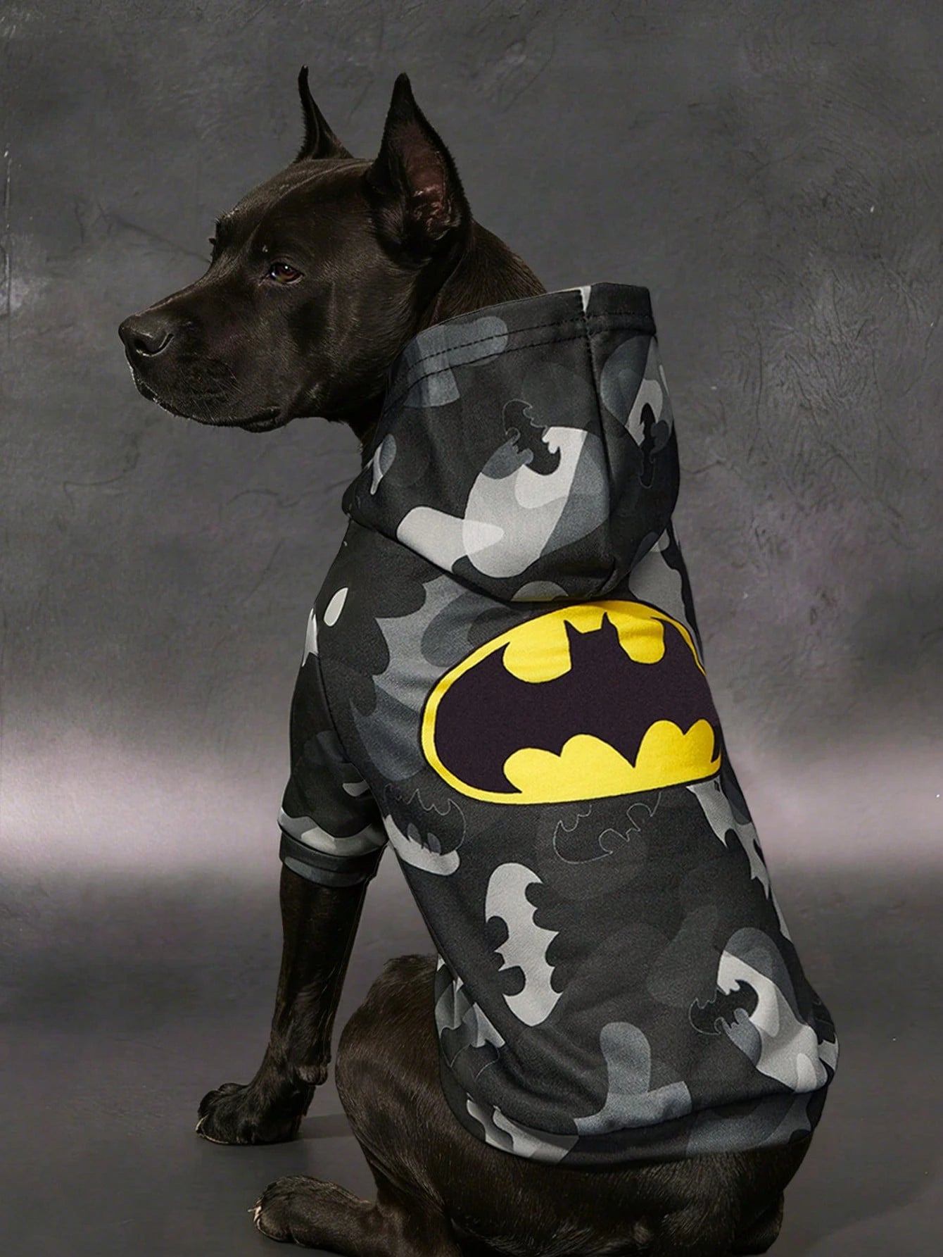 Batman Pet Hoodie for Cats & Small Dogs | Soft Hooded Sweatshirt
