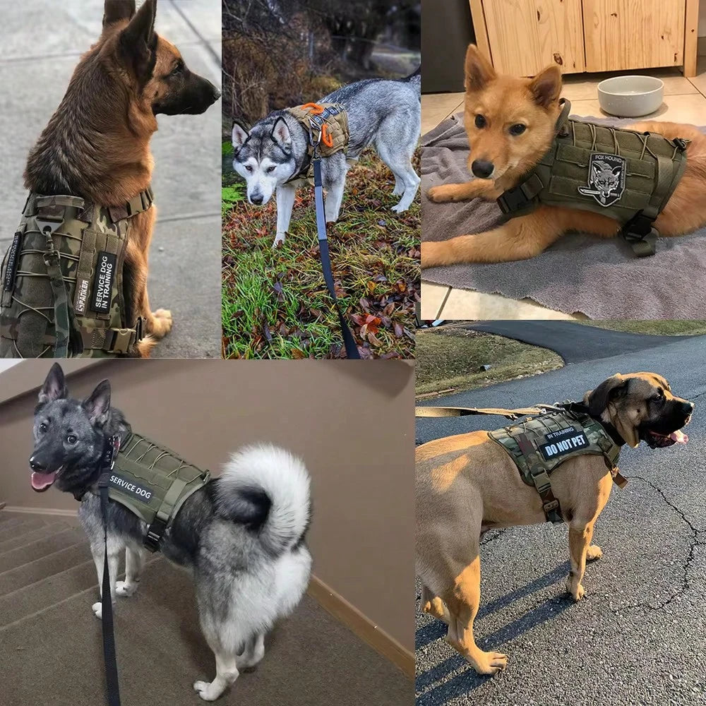 Tactical Dog Harness & Leash Set with Handle for Training & Walking