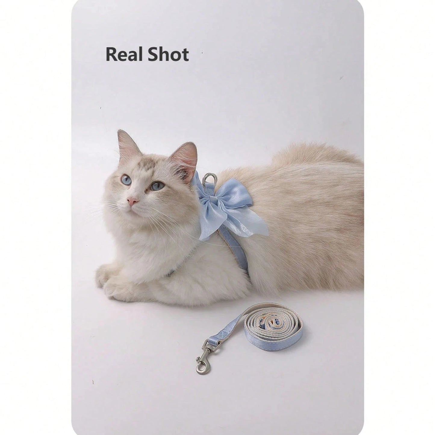 Escape-Proof Pet Harness & Leash Set for Small Dogs & Cats