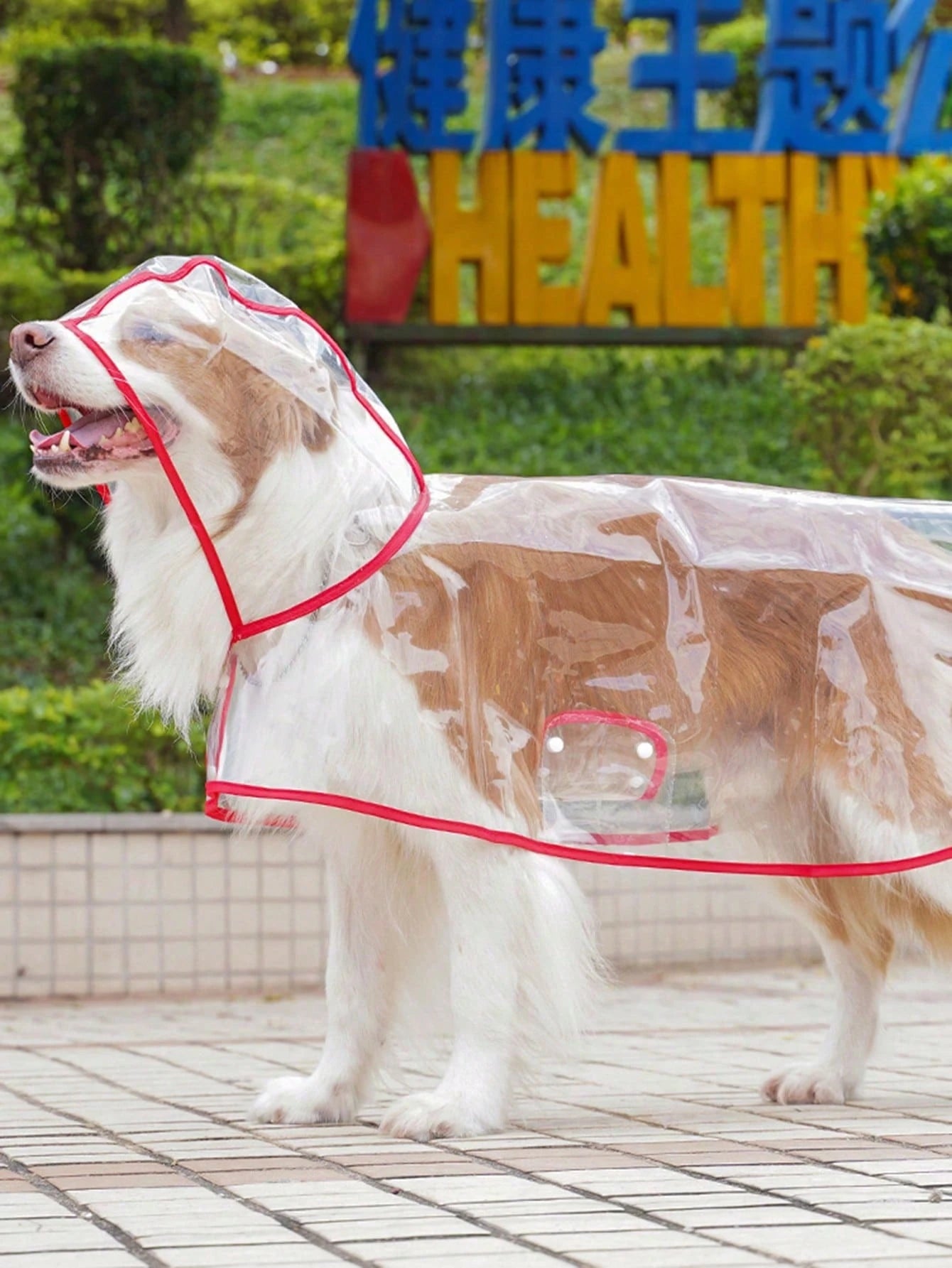 Transparent Waterproof Pet Raincoat – Pink Trim Outdoor Jacket for Cats & Dogs