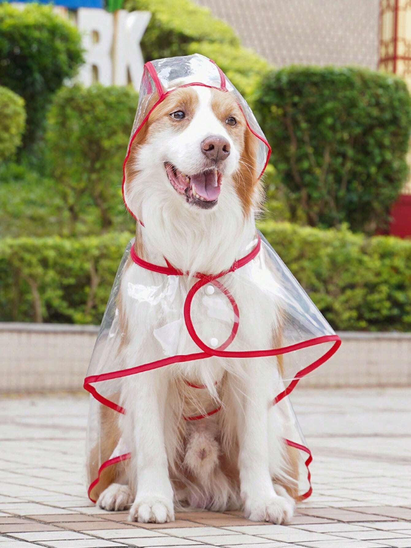Transparent Waterproof Pet Raincoat – Pink Trim Outdoor Jacket for Cats & Dogs