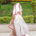 Transparent Waterproof Pet Raincoat – Pink Trim Outdoor Jacket for Cats & Dogs