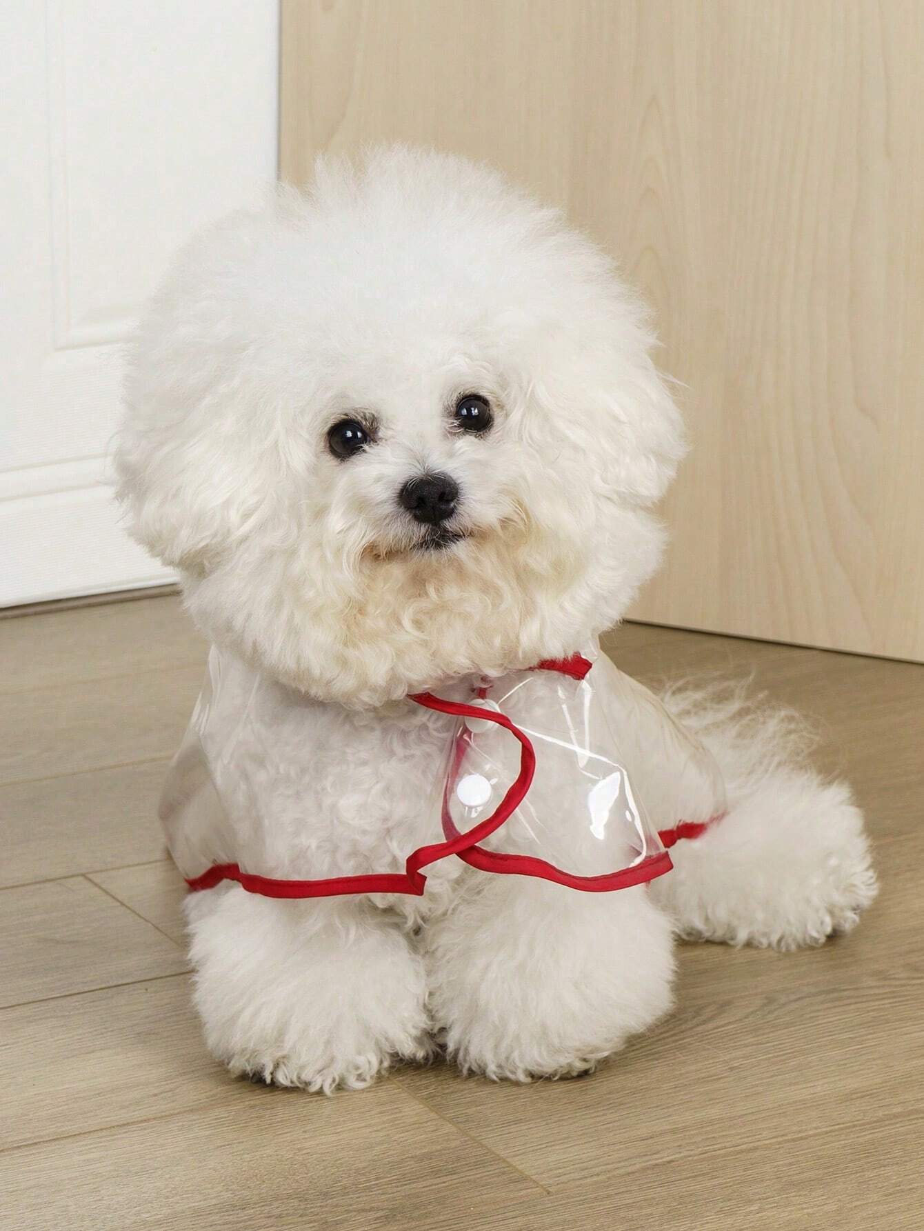 Transparent Waterproof Pet Raincoat – Pink Trim Outdoor Jacket for Cats & Dogs