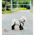 Waterproof Dog Boots for Small & Medium Dogs | Anti-Slip Paw Covers