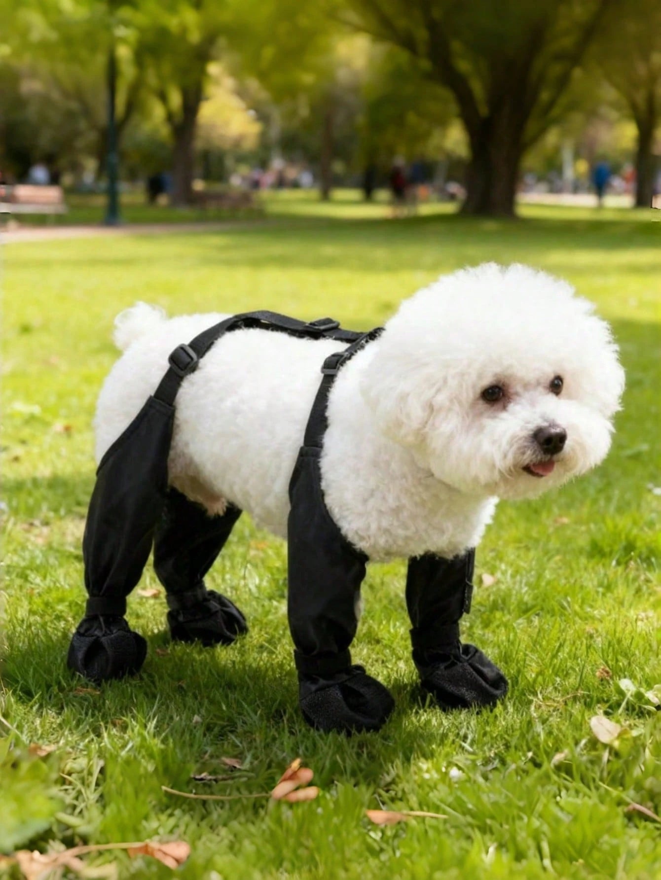 Waterproof Dog Boots for Small & Medium Dogs | Anti-Slip Paw Covers
