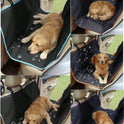 Oxford Cloth Dog Car Seat Mat – Thin Style Anti‑Dirty & Anti‑Shedding Protector