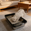 Stainless Steel Semi-Enclosed Cat Litter Box with Scoop