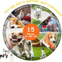 Cute Squeaky Dog Toy – Plush Chew Toys with Sound Paper for Puppies & Small Dogs