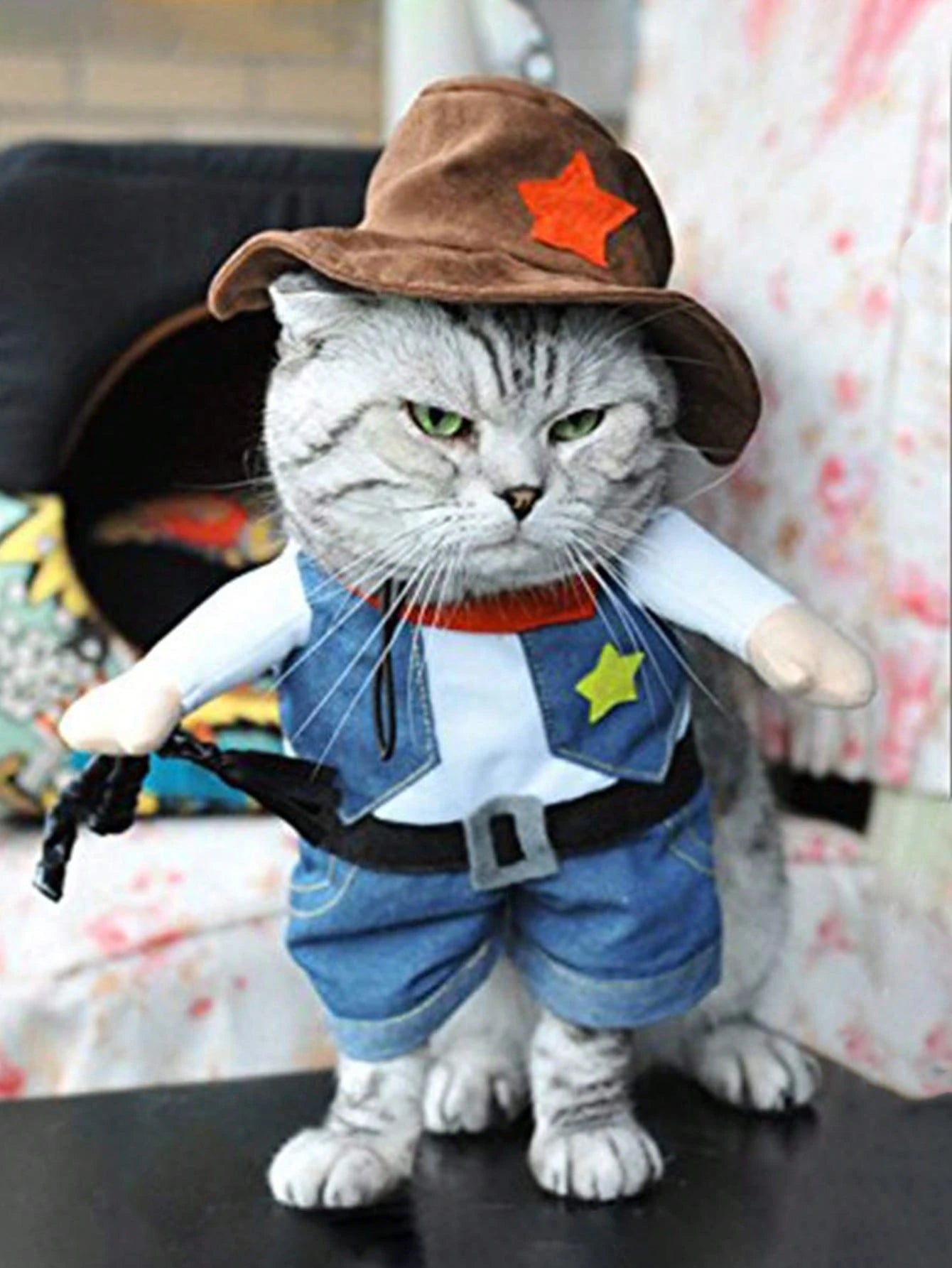 Funny Cowboy Pet Costume | Halloween Dog & Cat Outfit