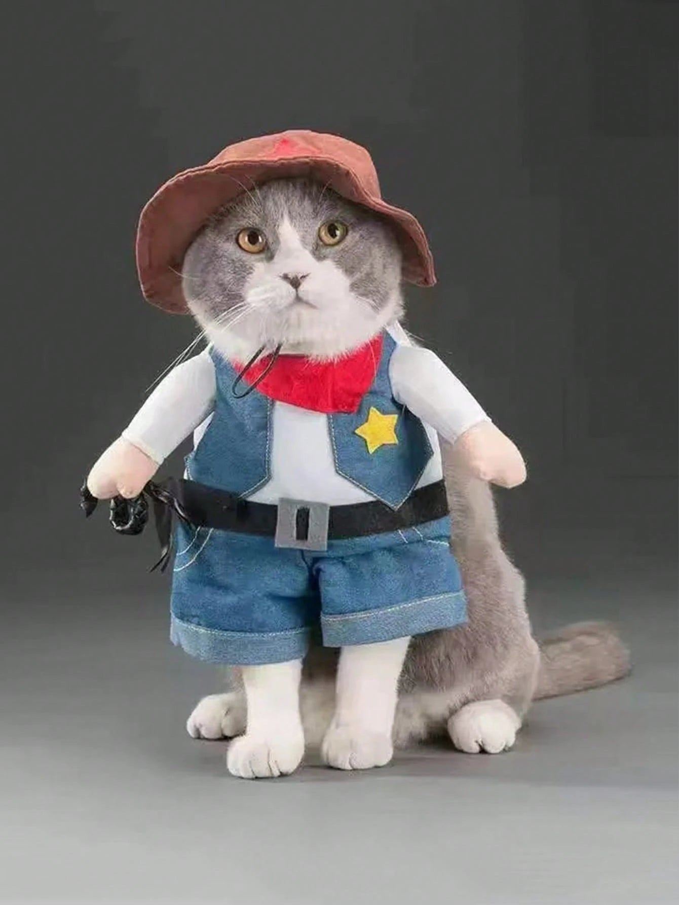 Funny Cowboy Pet Costume | Halloween Dog & Cat Outfit