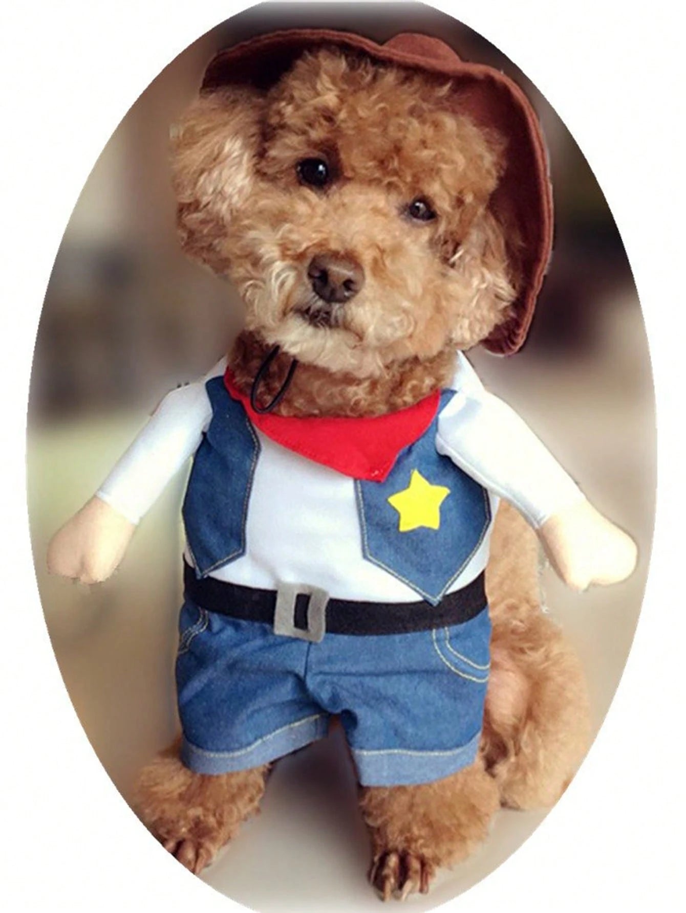 Funny Cowboy Pet Costume | Halloween Dog & Cat Outfit