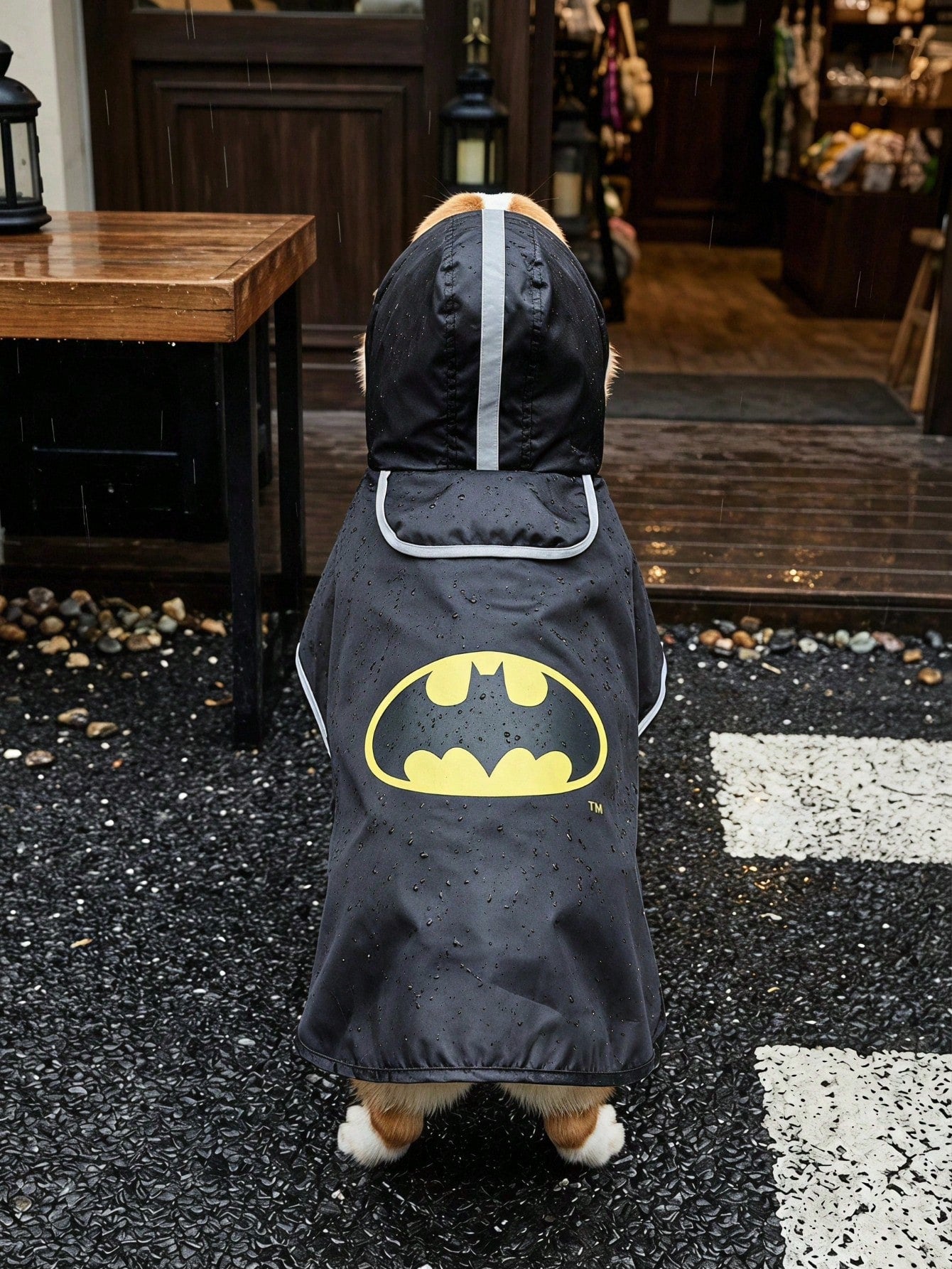 Batman x PETSIN Dog Raincoat – Waterproof Full-Body Rain Jacket for Dogs & Cats
