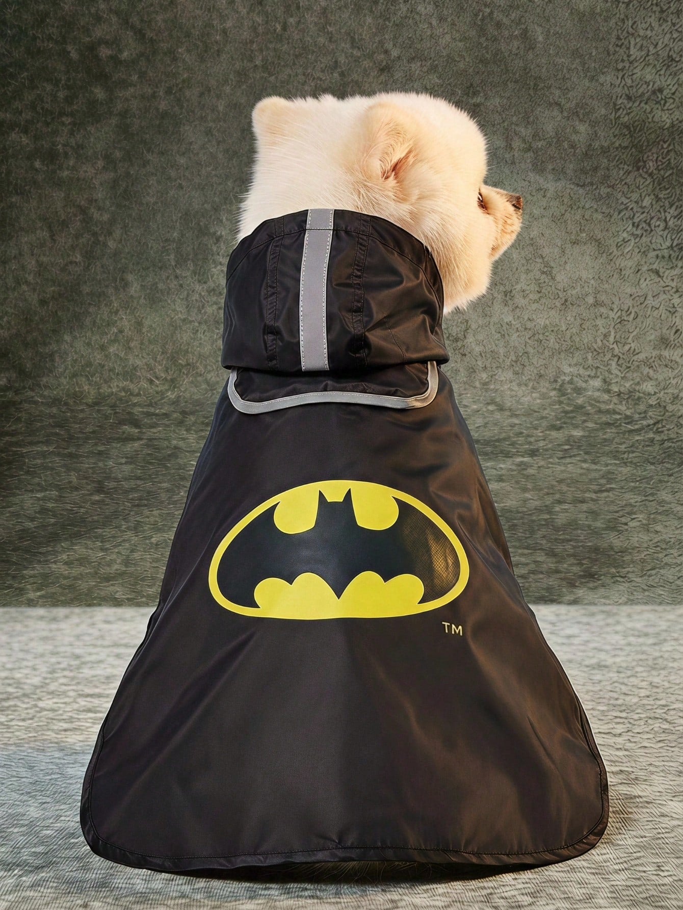 Batman x PETSIN Dog Raincoat – Waterproof Full-Body Rain Jacket for Dogs & Cats