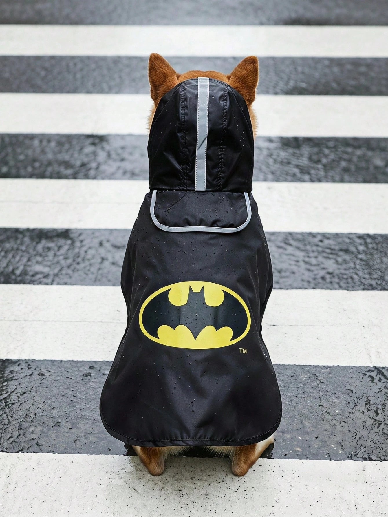 Batman x PETSIN Dog Raincoat – Waterproof Full-Body Rain Jacket for Dogs & Cats