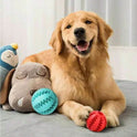 Braided Rope Dog Ball Toy | Durable Tug, Fetch & Chew Training Toy