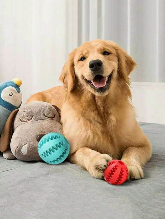Braided Rope Dog Ball Toy | Durable Tug, Fetch & Chew Training Toy