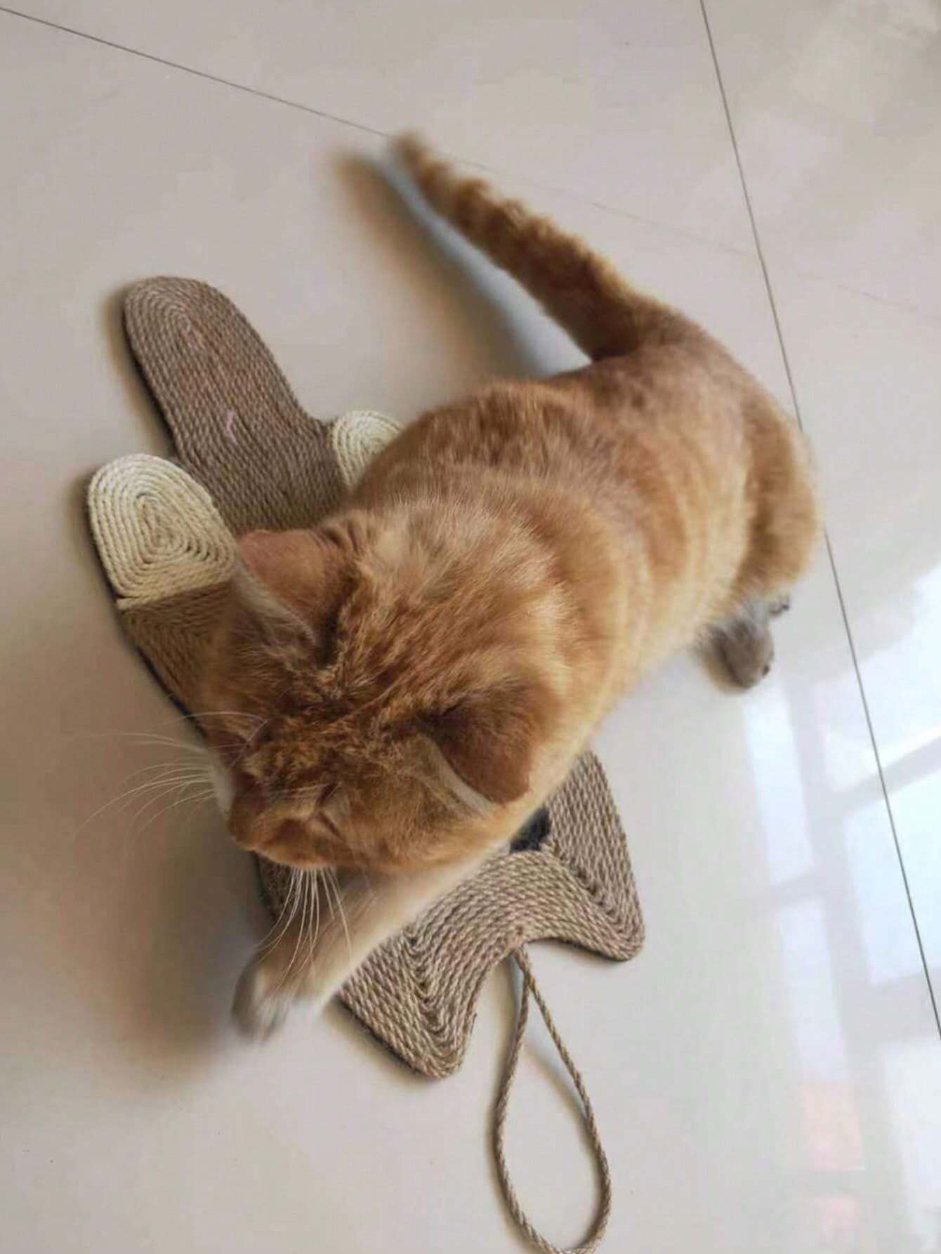Cartoon Sisal Cat Scratching Pad | Hanging Scratch Mat for Indoor Cats