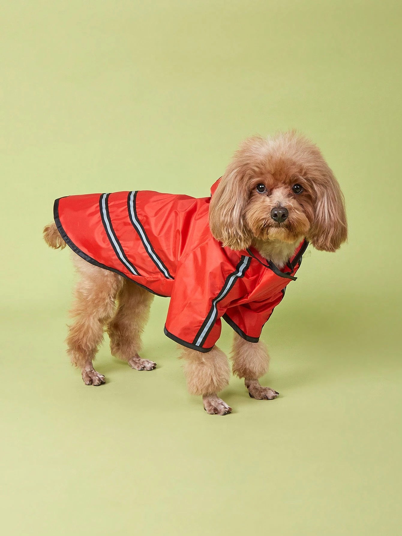 Waterproof Dog Raincoat with Hood for Small, Medium & Large Dogs