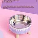 Elevated Stainless Steel Pet Bowl – Anti‑Spill Cat Feeding & Water Dish with Neck Protection