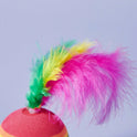 Interactive Rainbow Feather Cat Balls | Colorful Cat Toy (Set of 6 Pieces)
