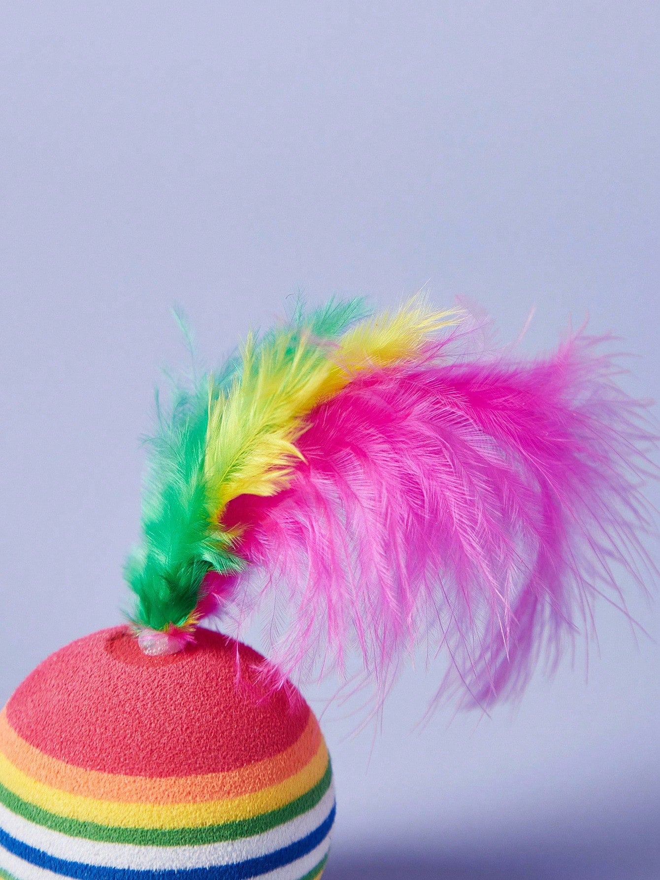Interactive Rainbow Feather Cat Balls | Colorful Cat Toy (Set of 6 Pieces)