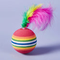 Interactive Rainbow Feather Cat Balls | Colorful Cat Toy (Set of 6 Pieces)