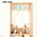 Automatic Interactive Cat Ball Toy | USB Rechargeable Cat Teaser