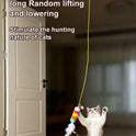 Automatic Interactive Cat Ball Toy | USB Rechargeable Cat Teaser