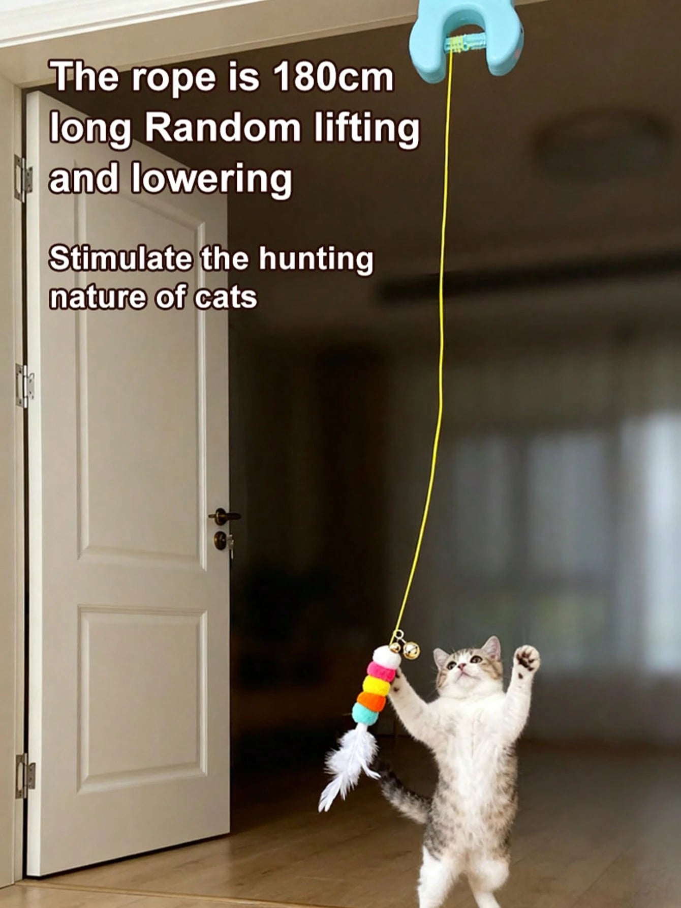 Automatic Interactive Cat Ball Toy | USB Rechargeable Cat Teaser