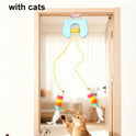 Automatic Interactive Cat Ball Toy | USB Rechargeable Cat Teaser