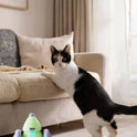 USB Rechargeable Interactive Cat Toy | Automatic Moving Mouse with Obstacle Avoidance