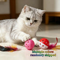 8PCS Cat Feather Ball Toy Set | Interactive Chase Toys for Indoor Cats