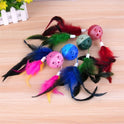 8PCS Cat Feather Ball Toy Set | Interactive Chase Toys for Indoor Cats