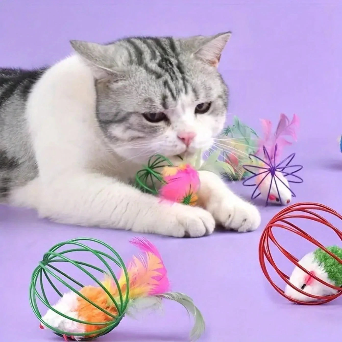 8PCS Cat Feather Ball Toy Set | Interactive Chase Toys for Indoor Cats