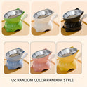Elevated Stainless Steel Cat Bowl | Tilted Anti-Spill Pet Feeder