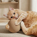 Sisal Cat Ball Toy with Rattle | Interactive Chew & Self-Play Toy for Cats