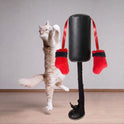 Interactive Cat Punching Bag Toy with Hanging Boxing Gloves | Fun Exercise Toy for Indoor Cats