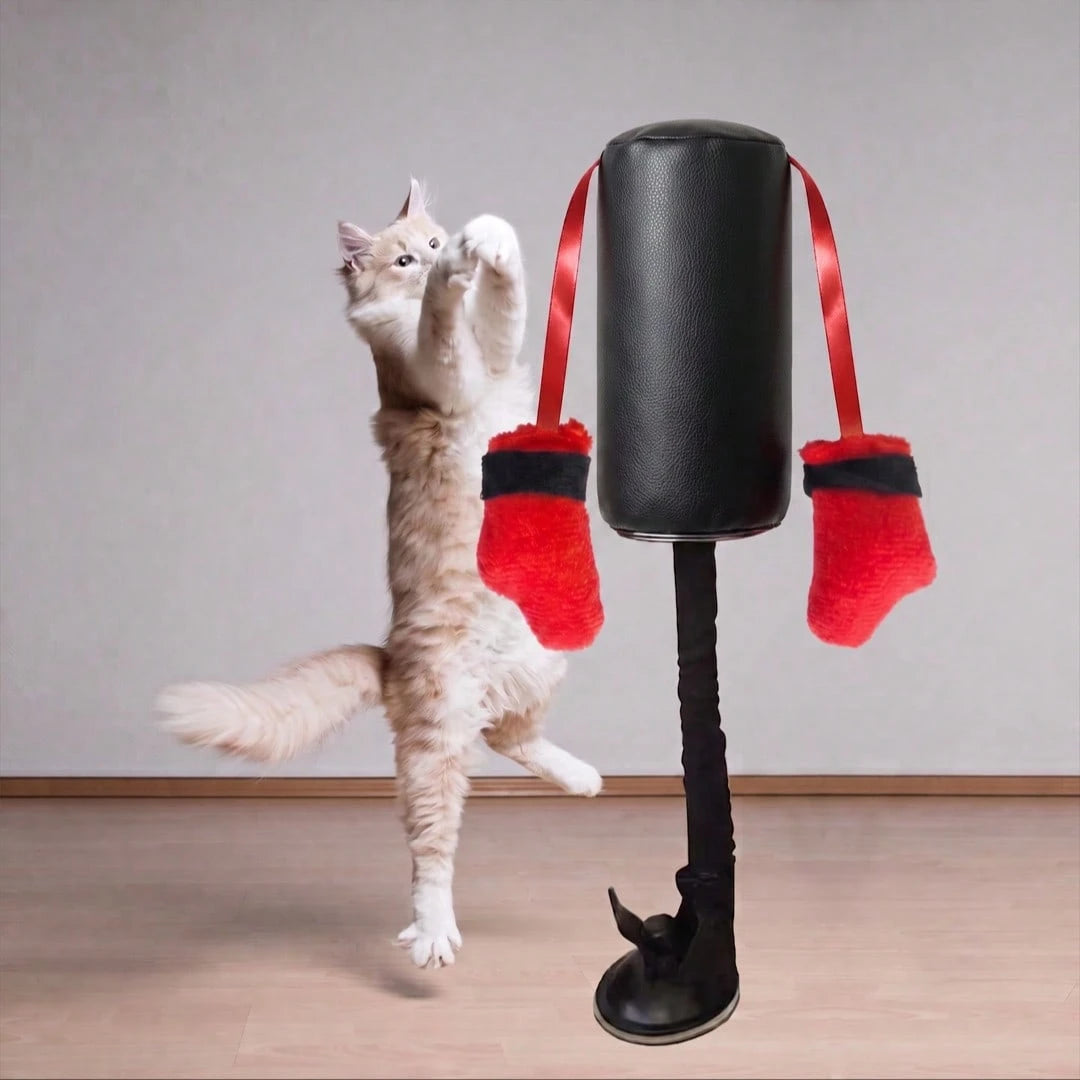 Interactive Cat Punching Bag Toy with Hanging Boxing Gloves | Fun Exercise Toy for Indoor Cats
