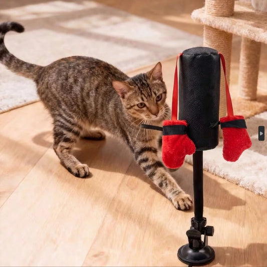 Interactive Cat Punching Bag Toy with Hanging Boxing Gloves | Fun Exercise Toy for Indoor Cats
