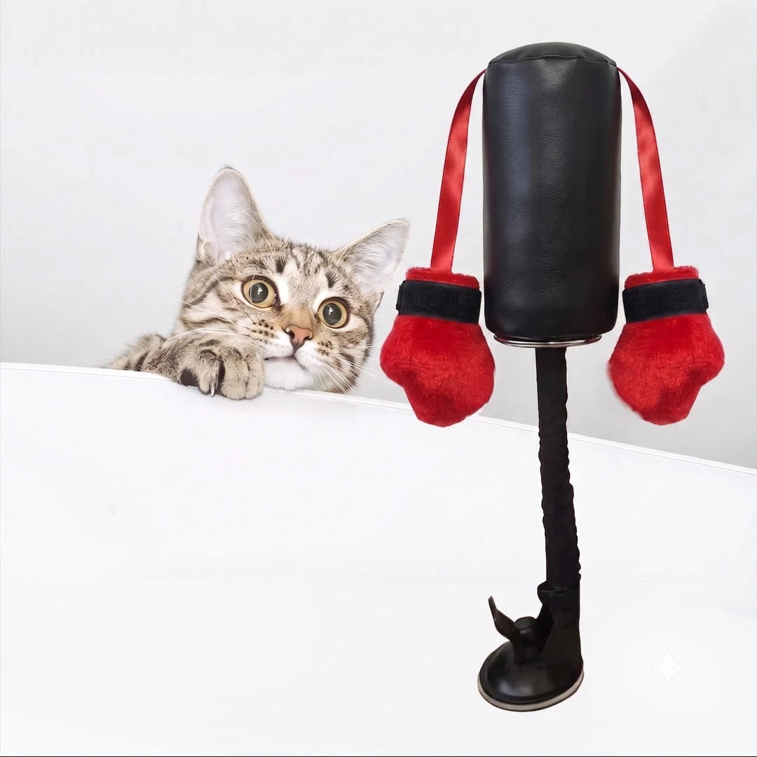 Interactive Cat Punching Bag Toy with Hanging Boxing Gloves | Fun Exercise Toy for Indoor Cats