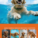 Automatic Rechargeable Bark Collar for Dogs | Waterproof Anti-Bark Training Collar